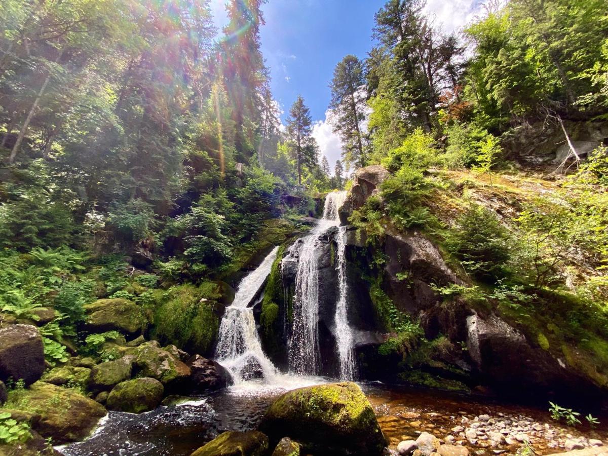 הורנברג Ferienwohnung Zur Bierliebe - Mit Toller Aussicht Im Herzen Des Schwarzwaldes מראה חיצוני תמונה